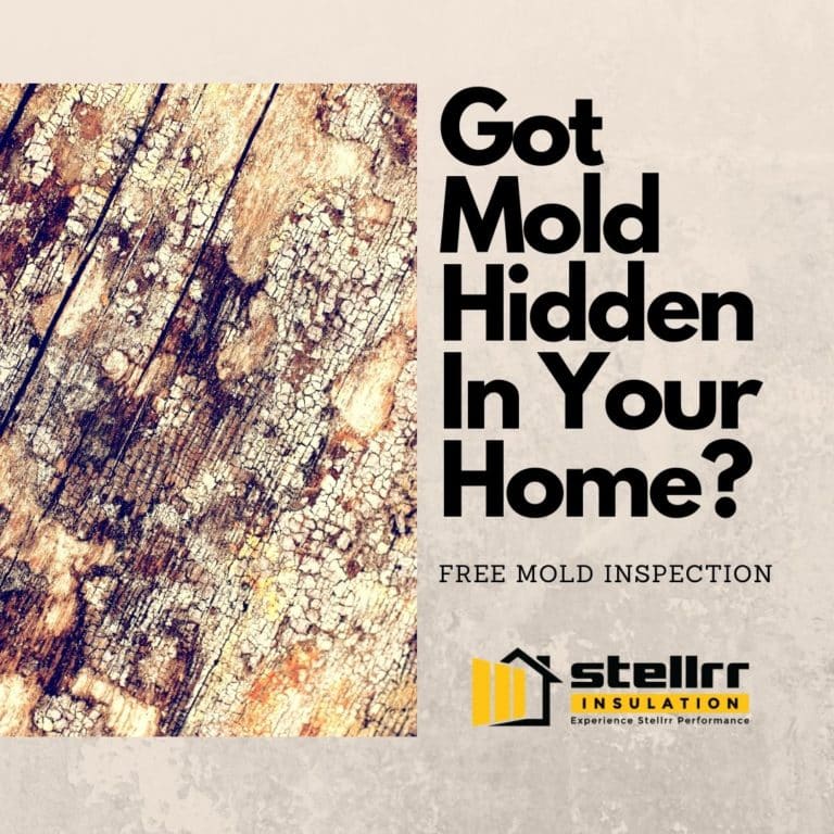 Mold Inspection & Treatment in Austin TX (512) 520 0044